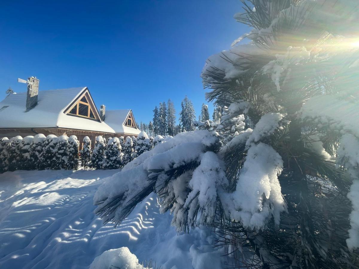 Osada Podrazowka Villa Zakopane Eksteriør billede
